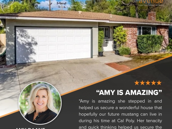 Amy Daane Testimonial 2026