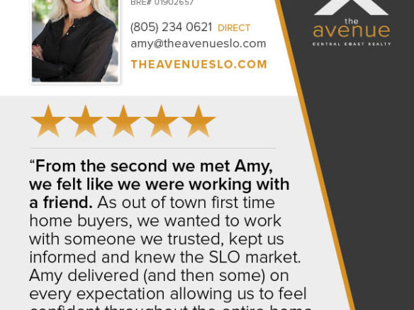 5-Star Review for Amy Daane