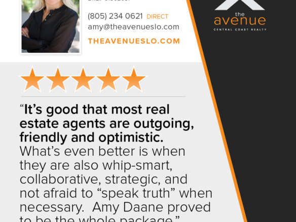 Amazing ⭐️⭐️⭐️⭐️⭐️ Review/Testimonial for Amy Daane