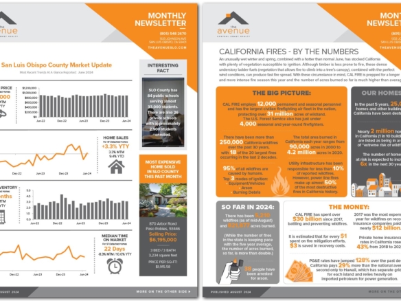 The Avenue Monthly Newsletter - AUGUST 2024