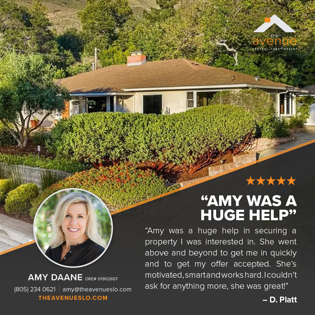 Testimonial–D. Platt-AMY